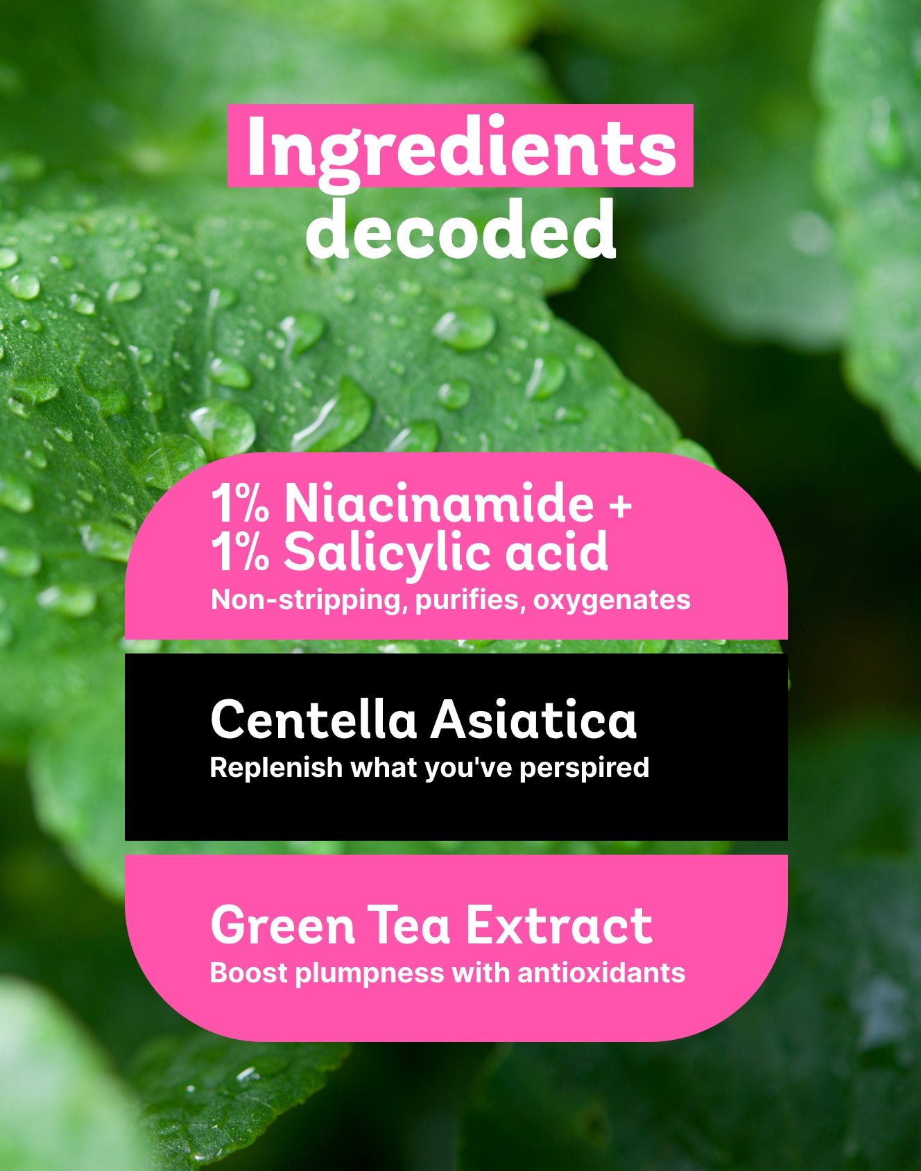 Natural Face Cleanser Ingredients